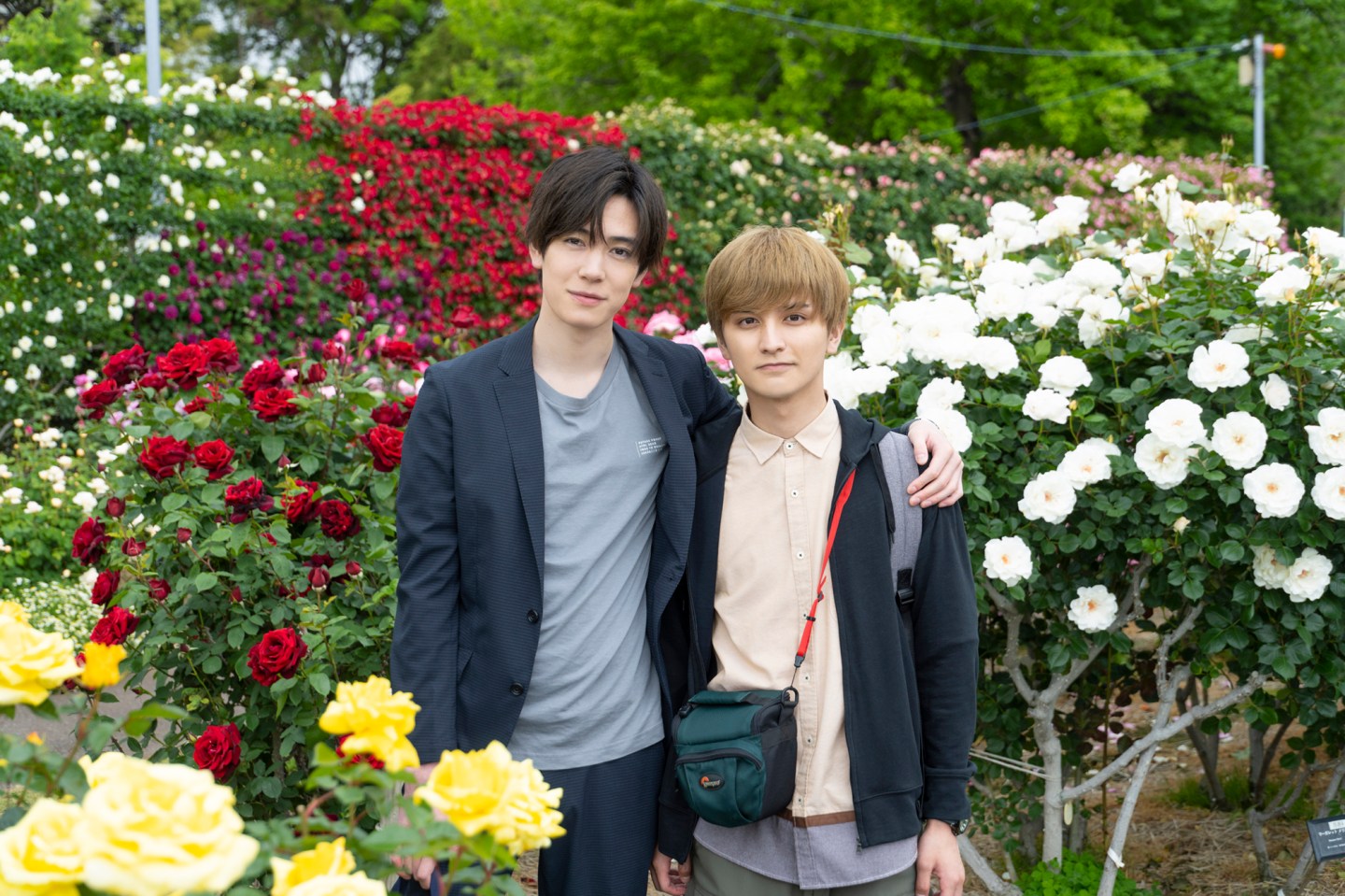 My Top 5 Japanese BL Dramas | The BL Xpress