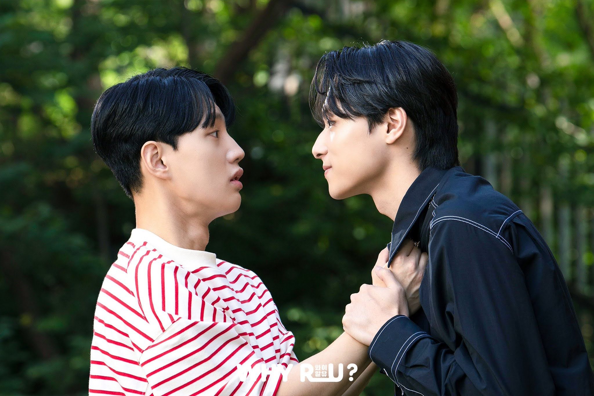 Champ Why R U “Why R U? (Korea) Series Review (Ep.3 to 8) | The BL Xpress